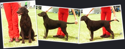 View Crushy 10-12-2011