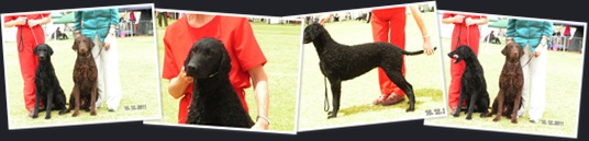 View Boomer 10-12-2011