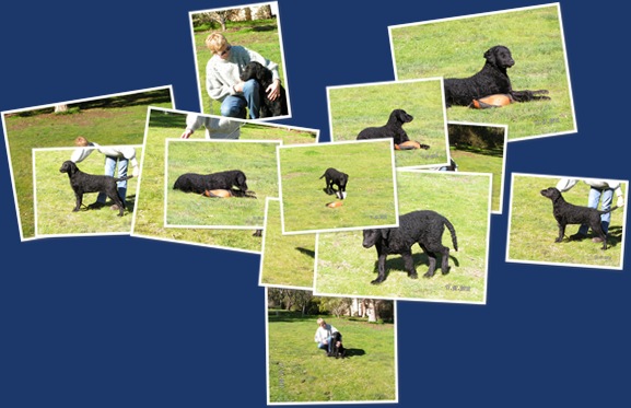 View Rapper  to Russia