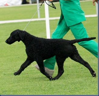 Imagine May 2013 BPIG crop