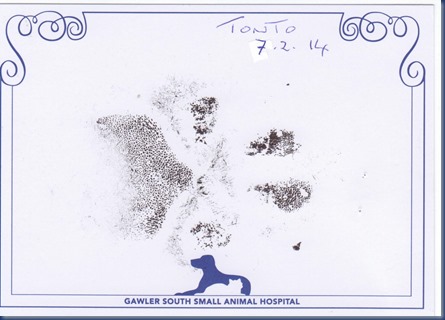 Tonto paw print