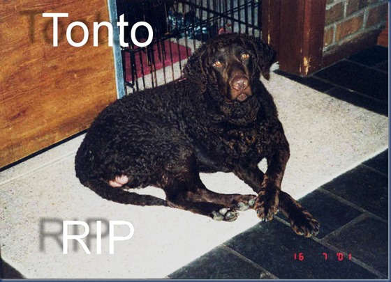 tonto14 edit text