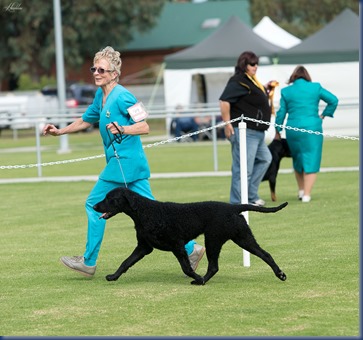 Imagine BJIS (1) 26-04-14