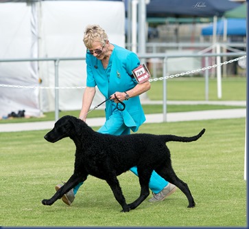 Imagine BJIS (3) 26-04-14